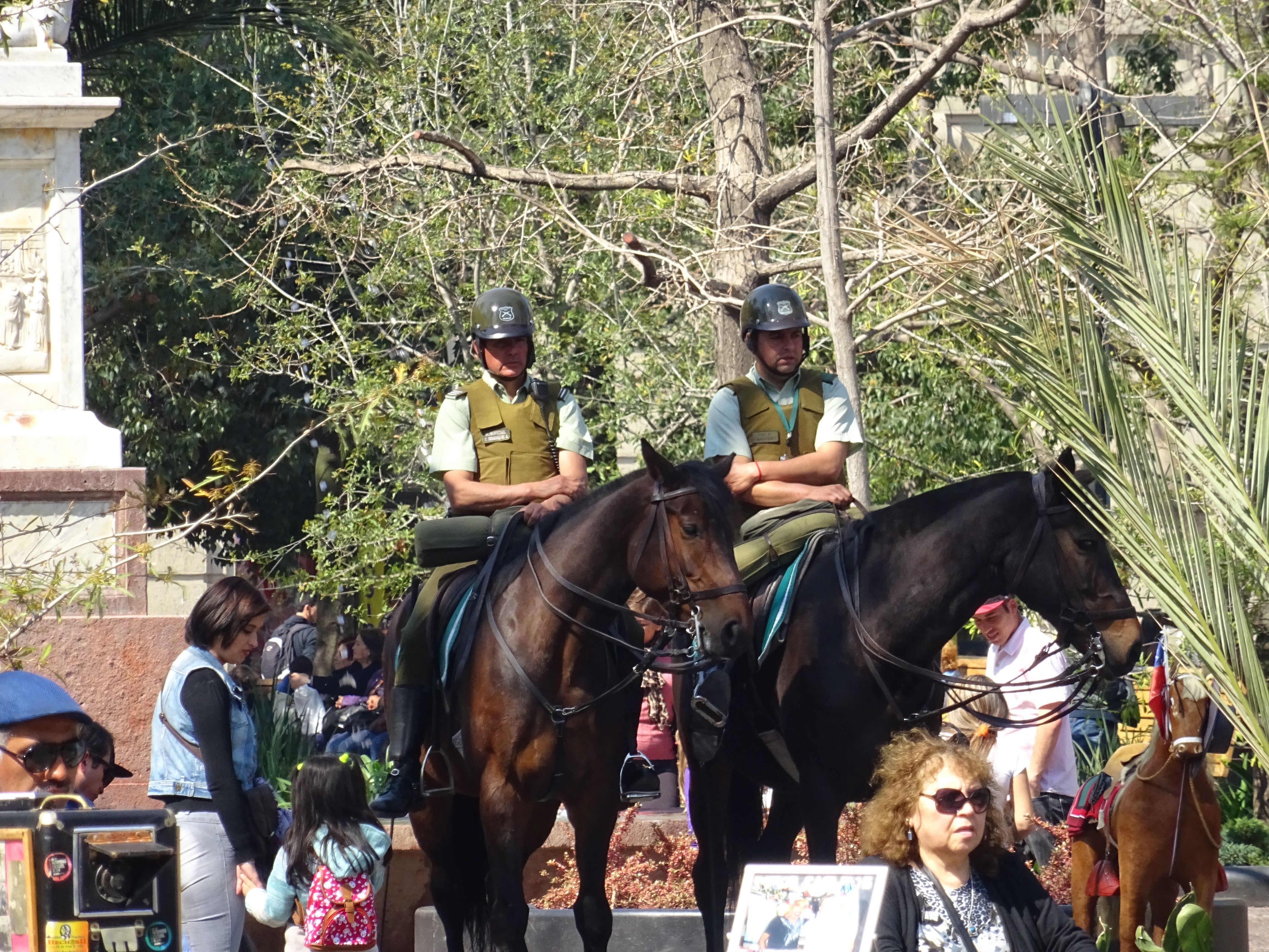Police on the horses