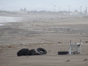 the beach in La Serena