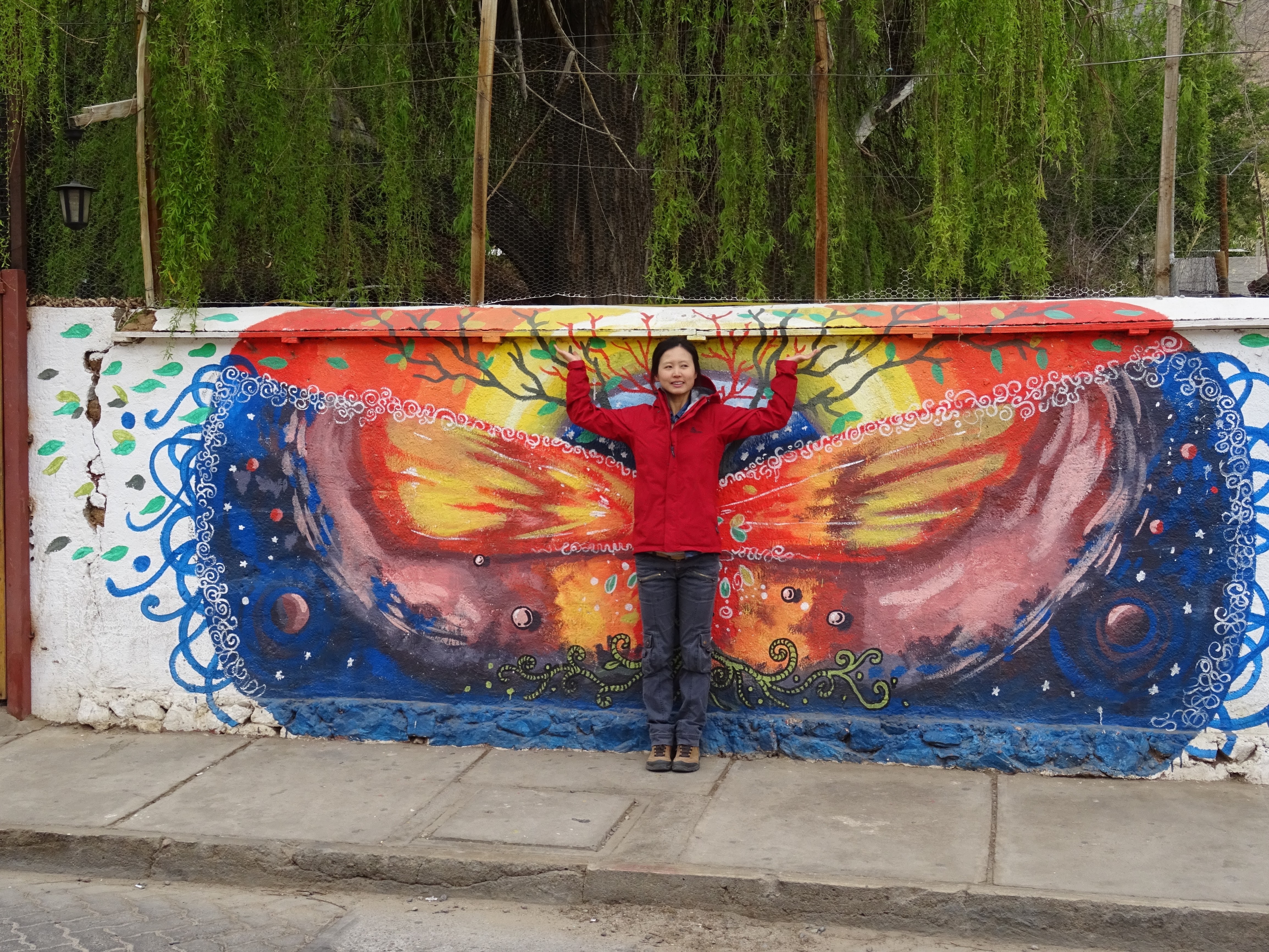 nice wall graffiti in Pisco Elqui