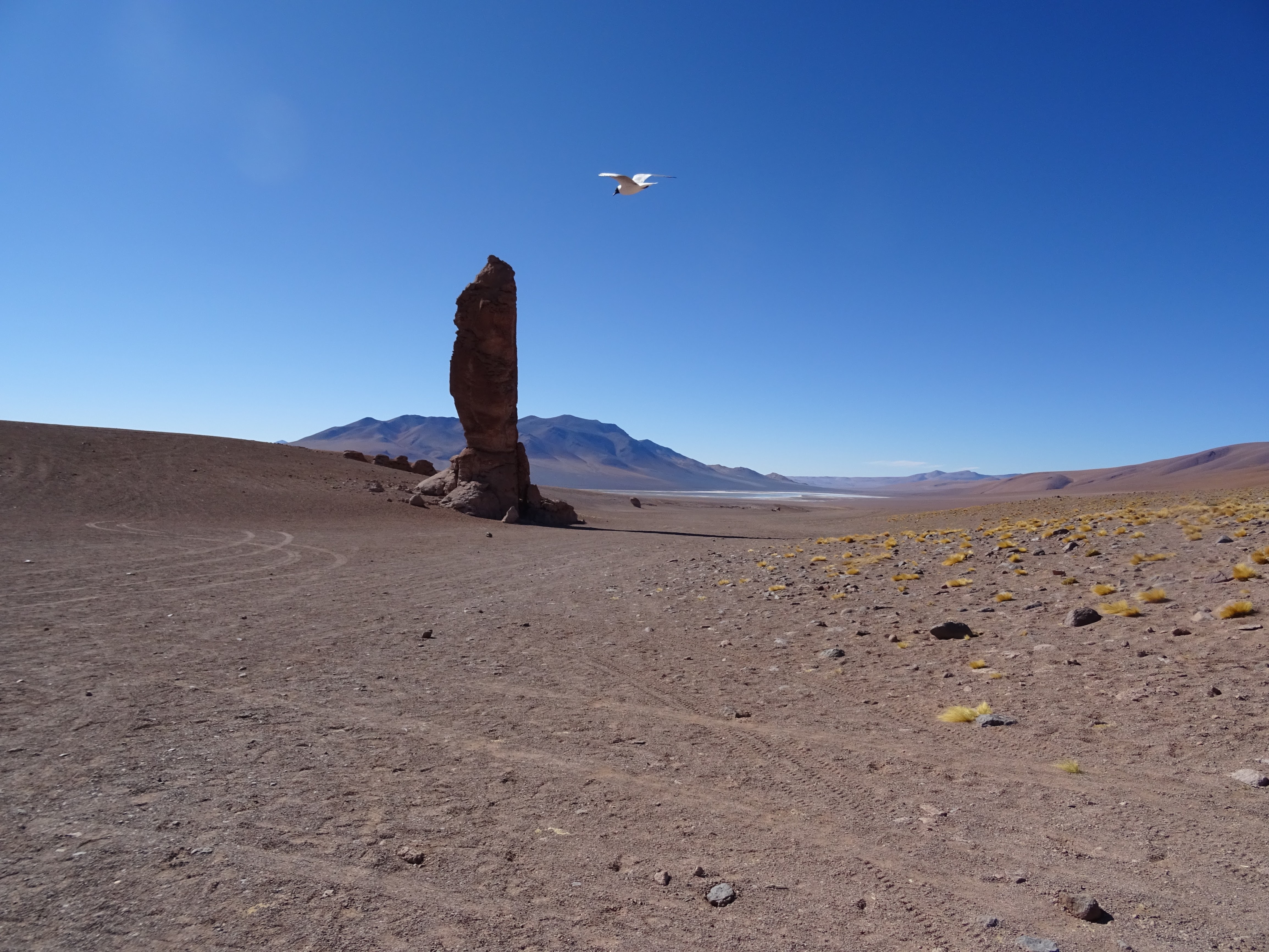 A big Rock pillar