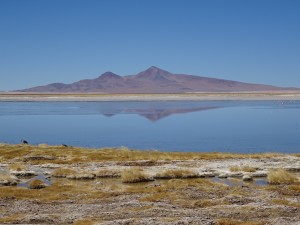 Nice reflection on the lagoon