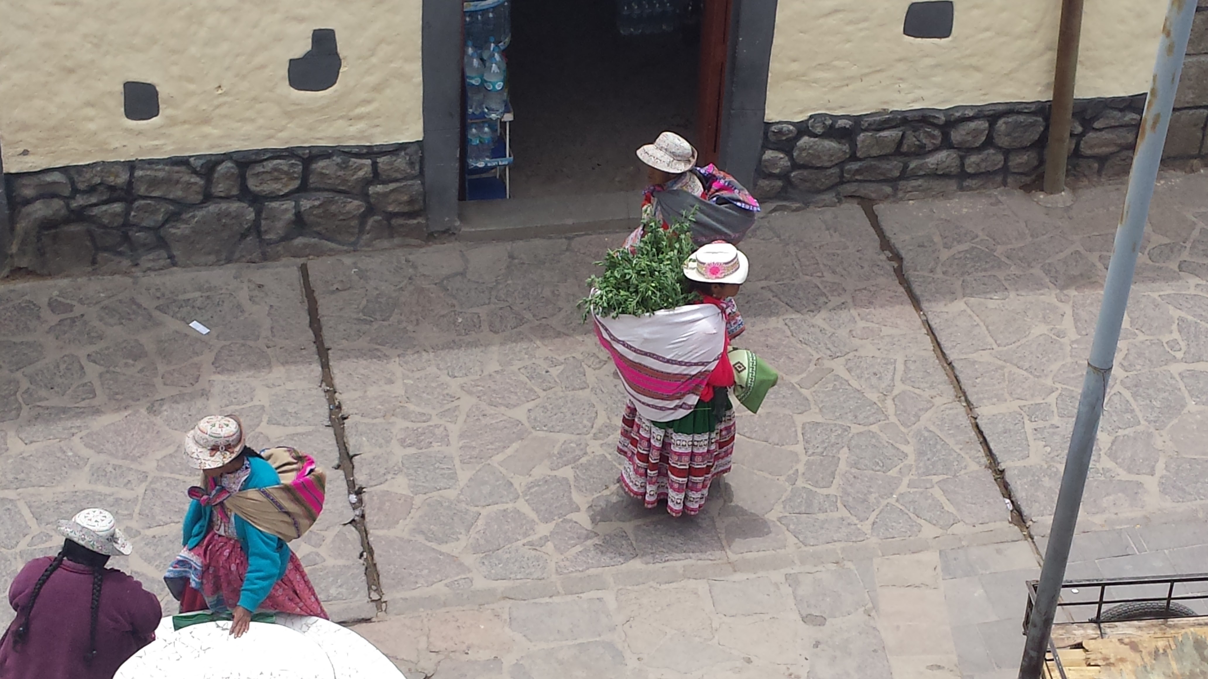 Women with big backpack full of mountain herb