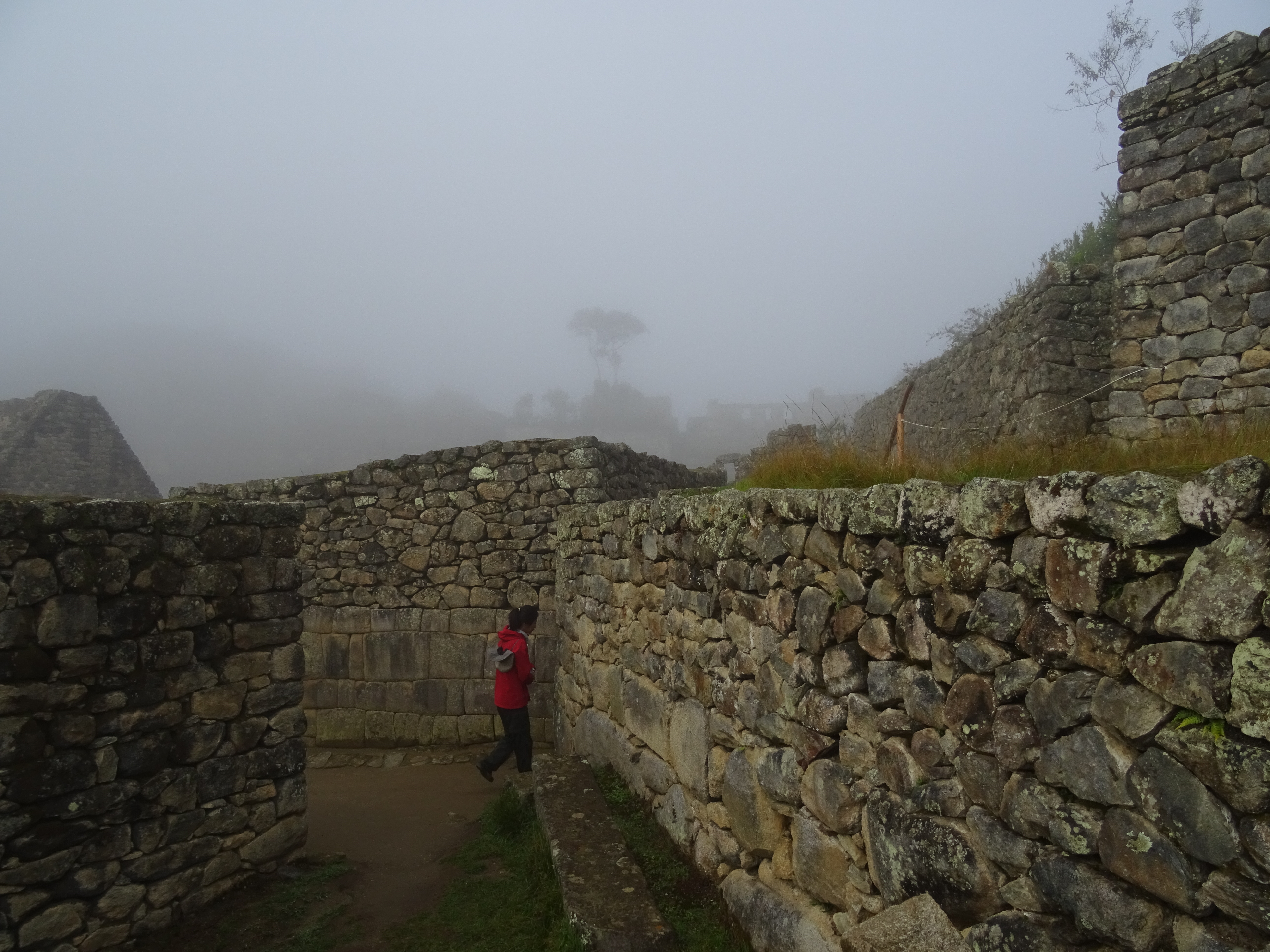 walking and checking every corner of Inca's ruins