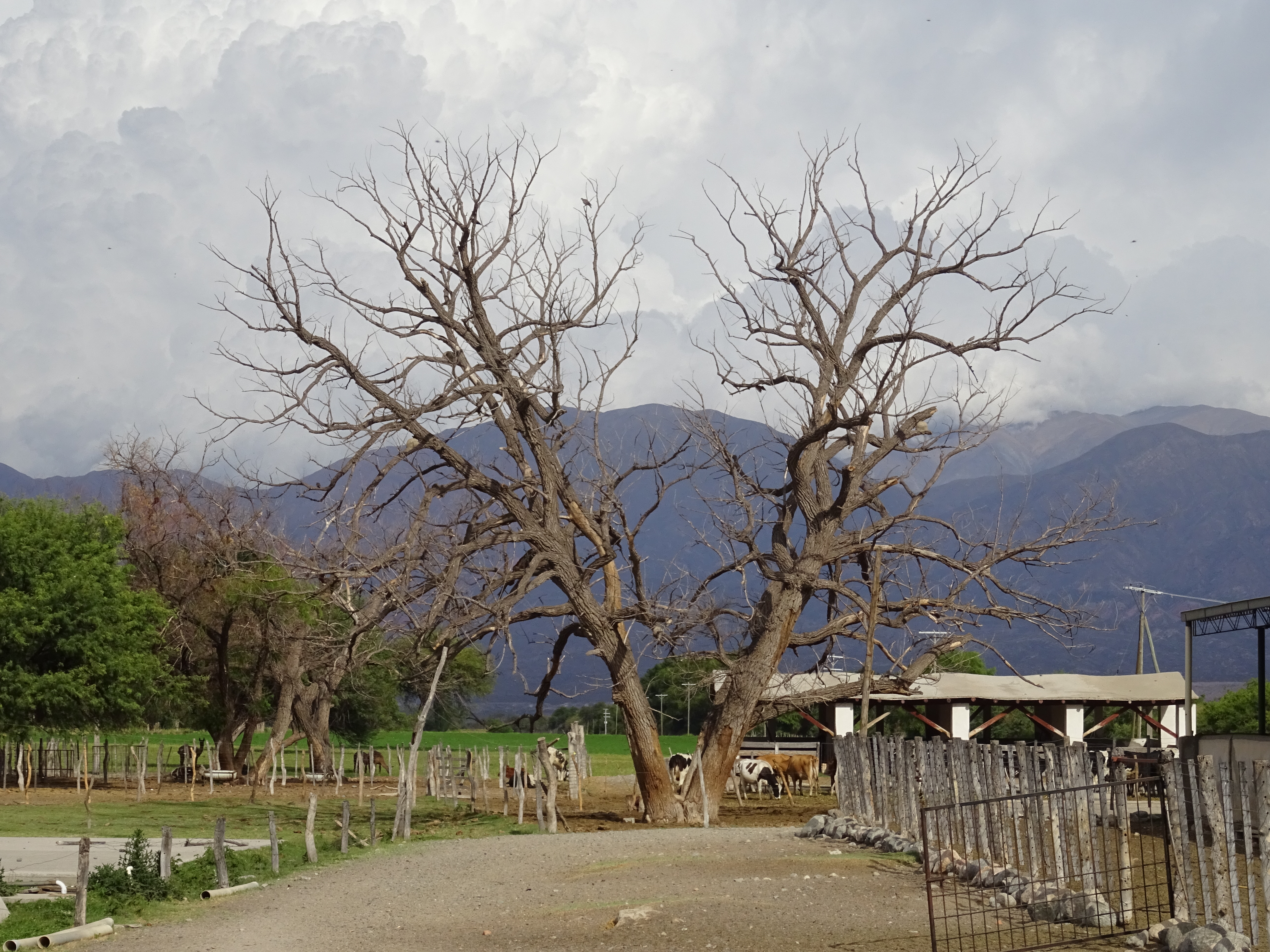 Camping in Argentina without a car