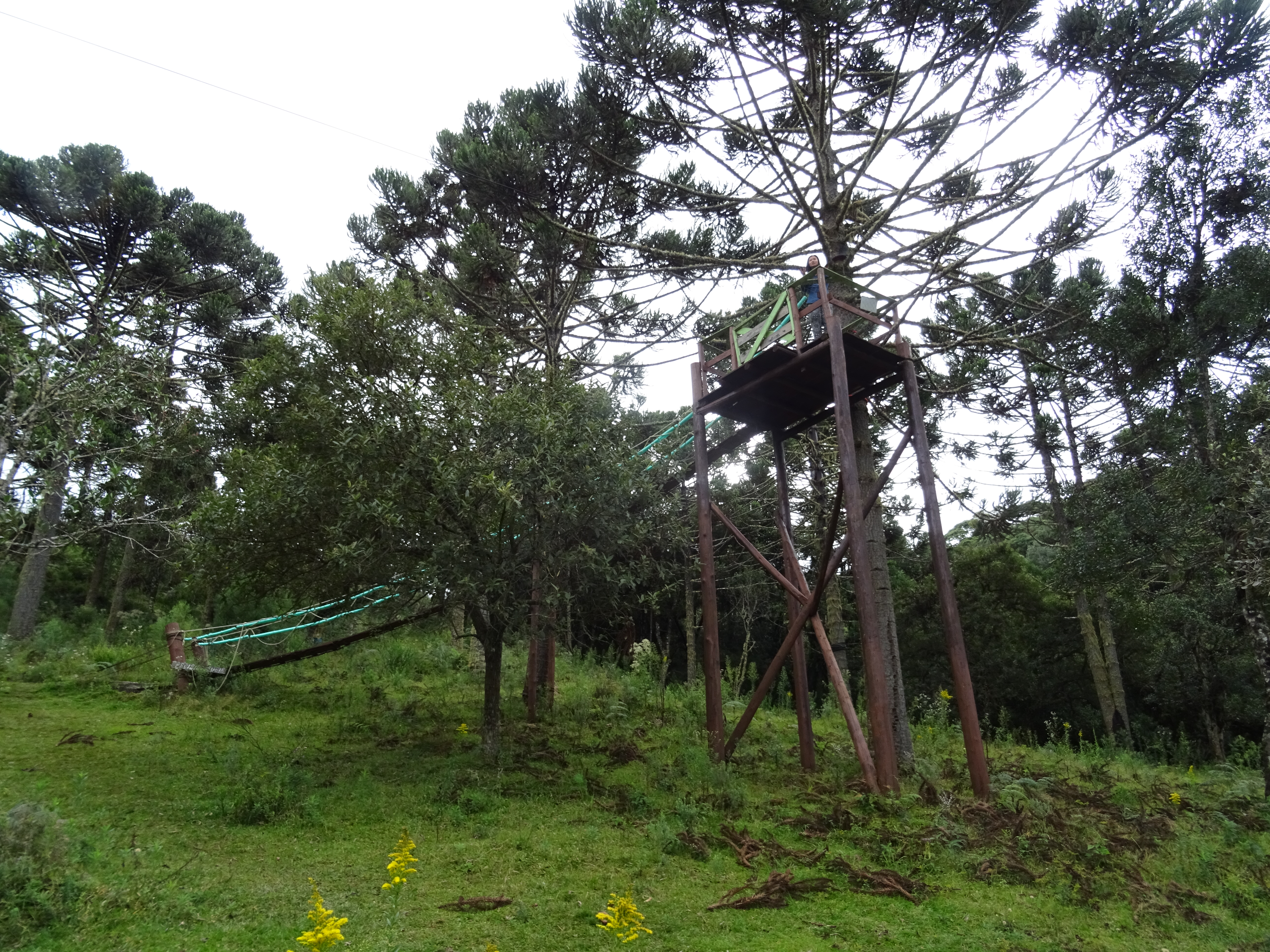 Flying fox from Avencal Falls