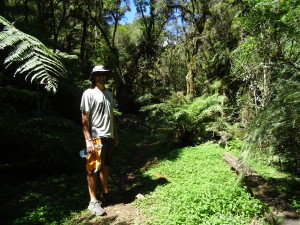 In the beginning of the trail to Casacada neve