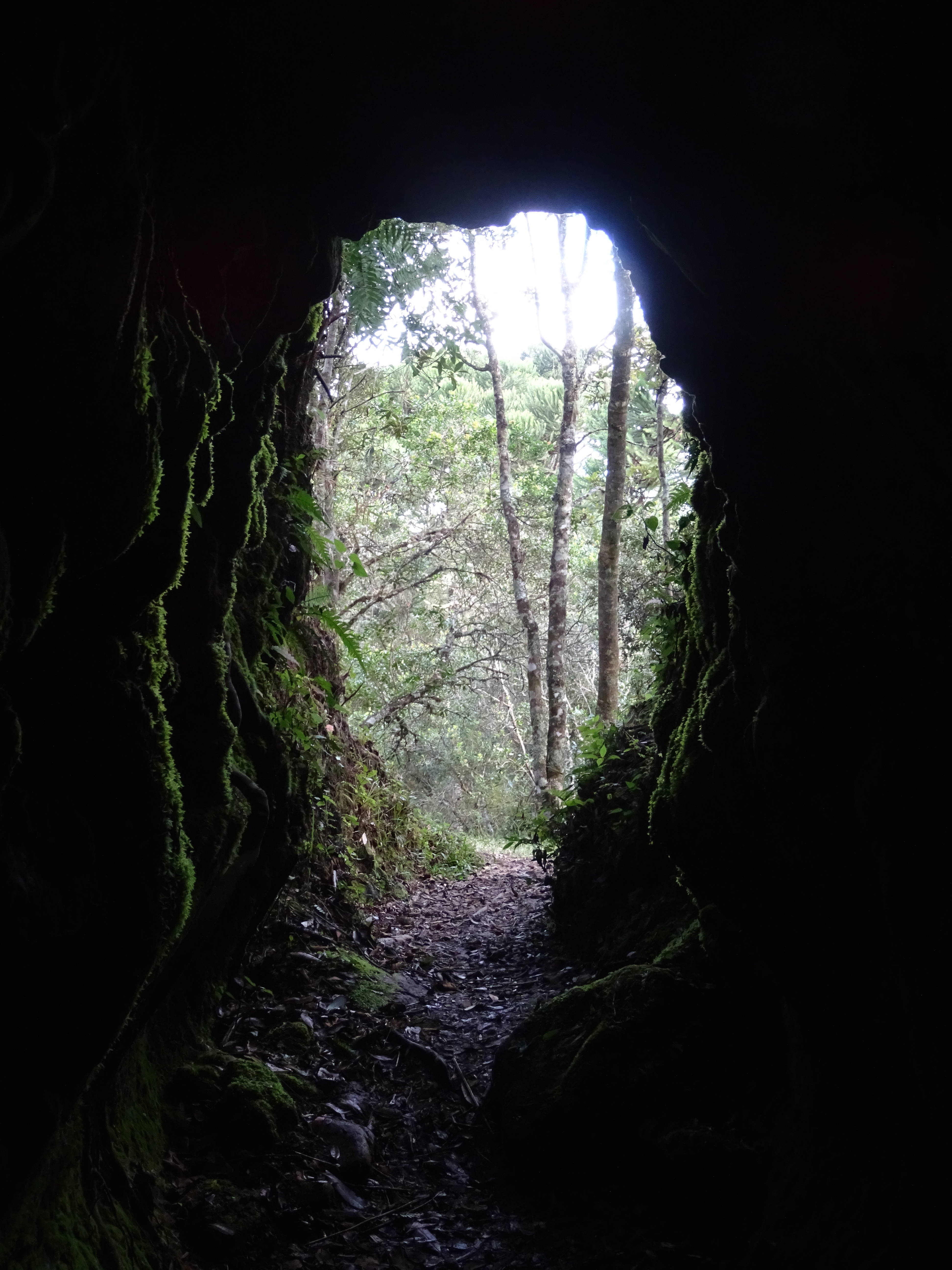 Caverna Rio dos Bugres