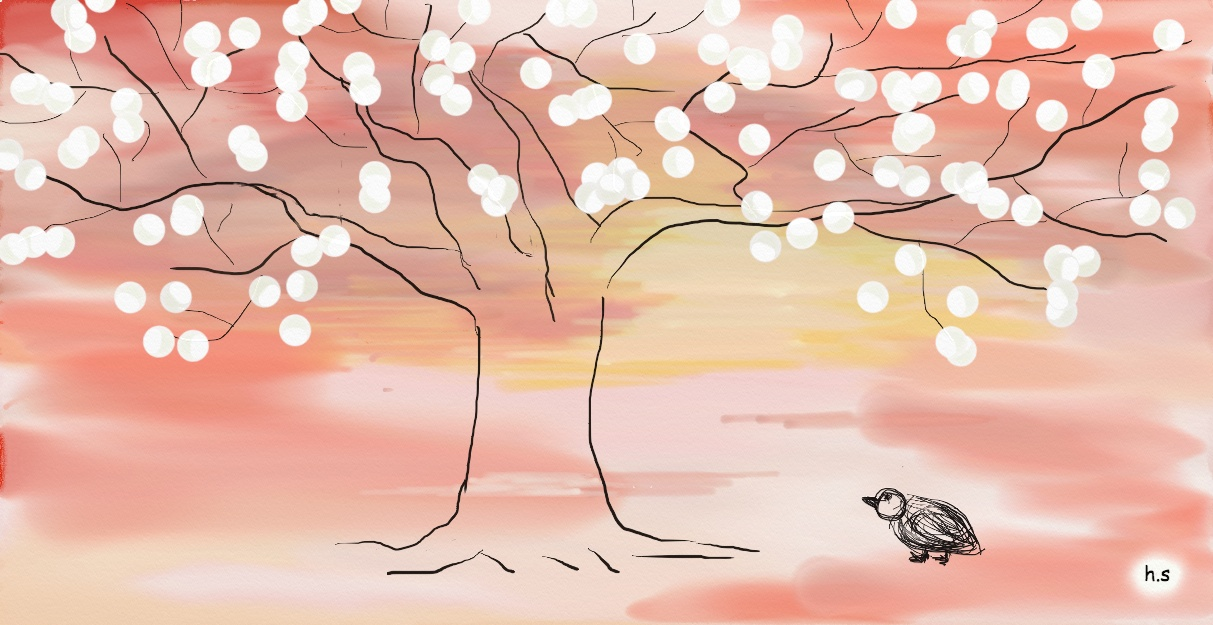 sunset on the tree; 노을나무