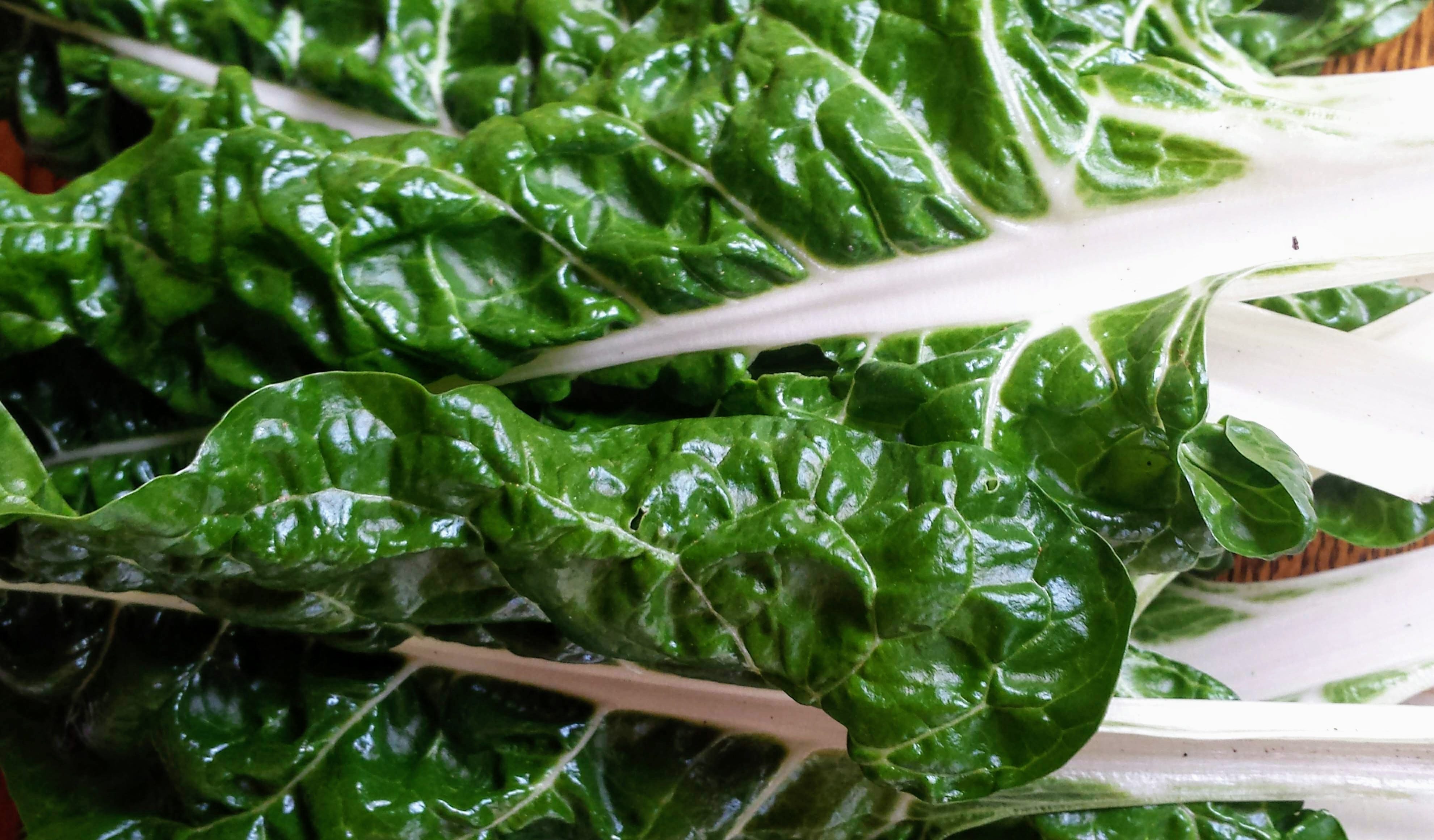 Silverbeet(Chard) recipe 1. Miso soup in a slowcooker