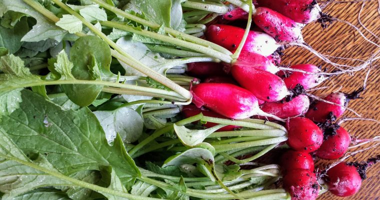 Red radish Kimchi