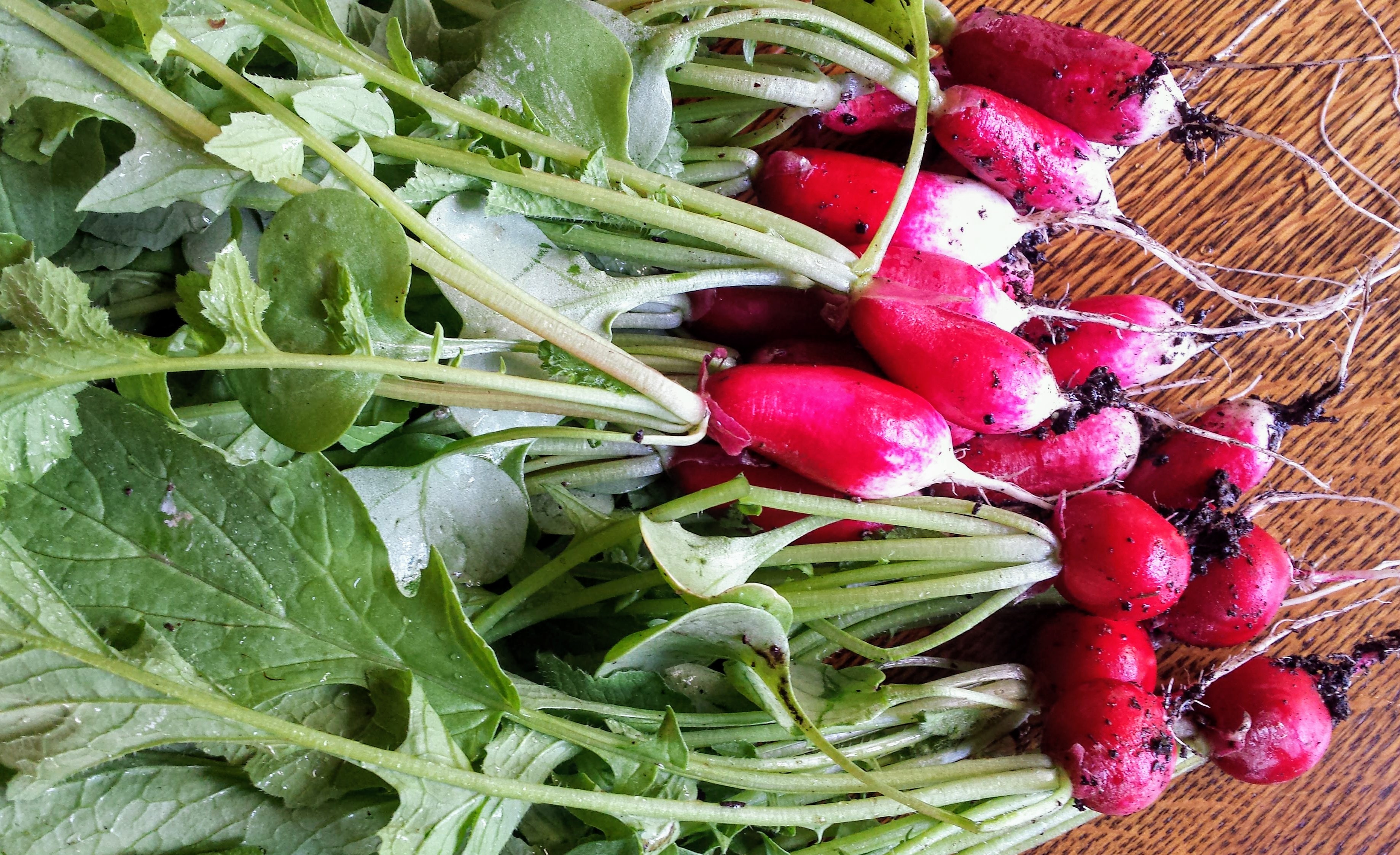 Red radish Kimchi