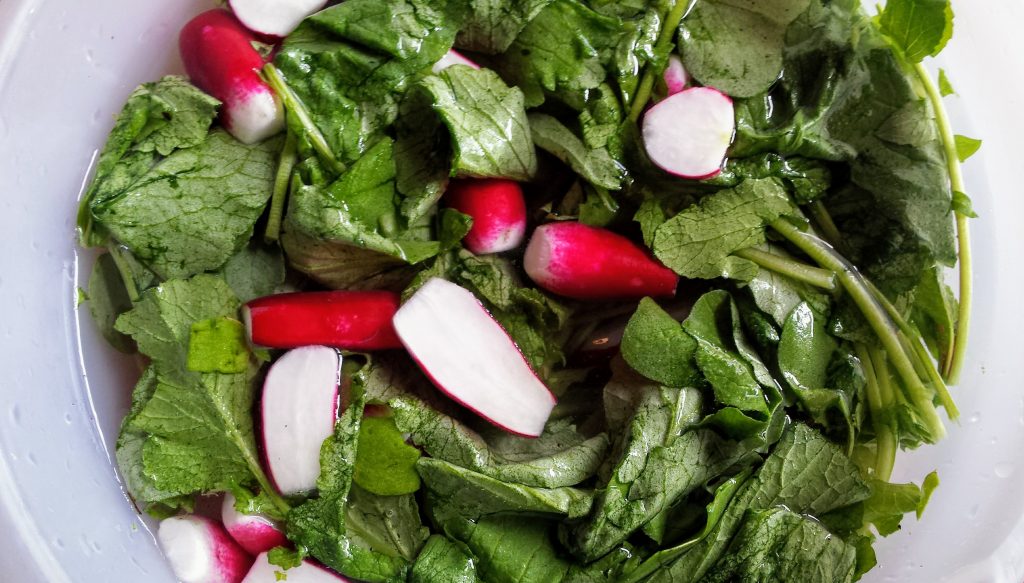 radish soak in the salt water